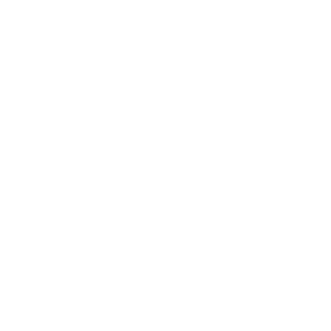 BearingPoint