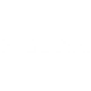 Bird & Bird - white