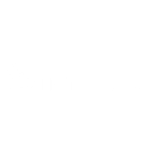 Intellek