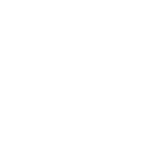 Iron Carrot