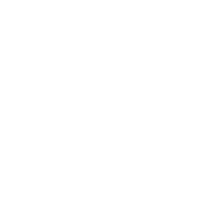 Novis
