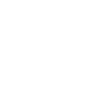 Pons Labs