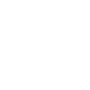 Postilize