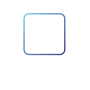 Summize